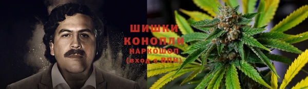 амф Россошь