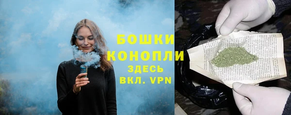 амф Россошь