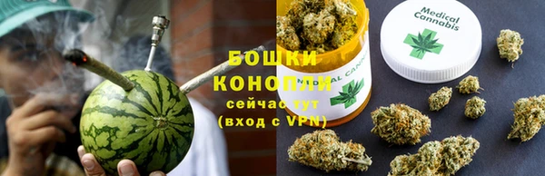 амф Россошь