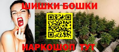 бошки Сланцы